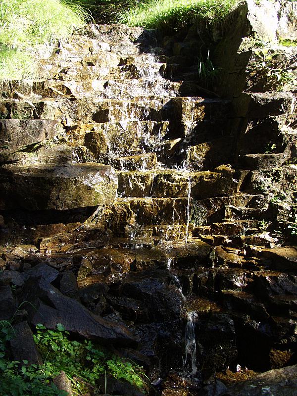 P8155554.JPG