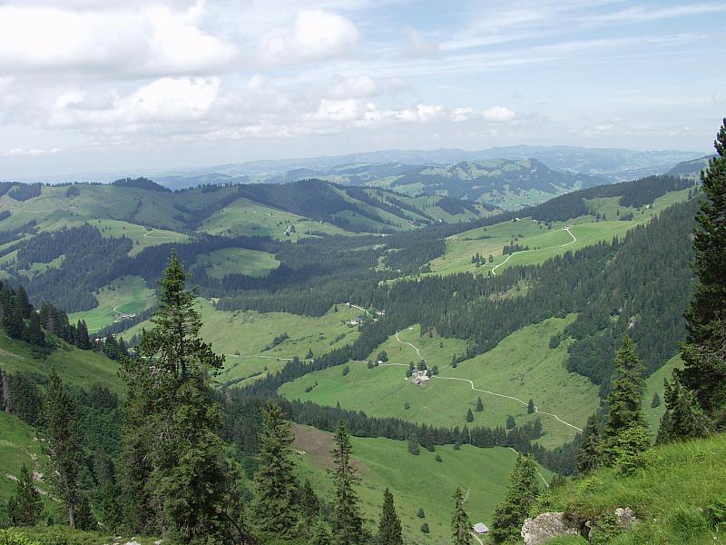 P8155666.JPG