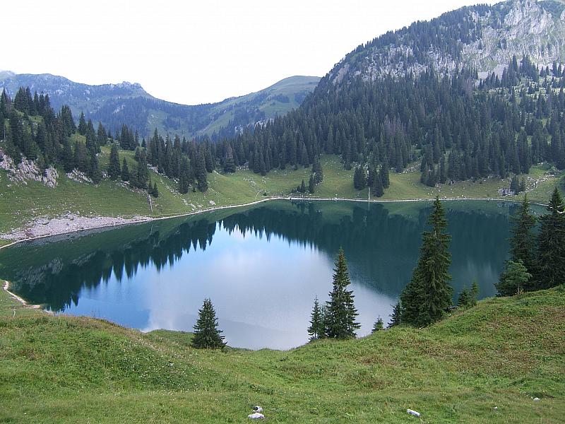 DSCF2077