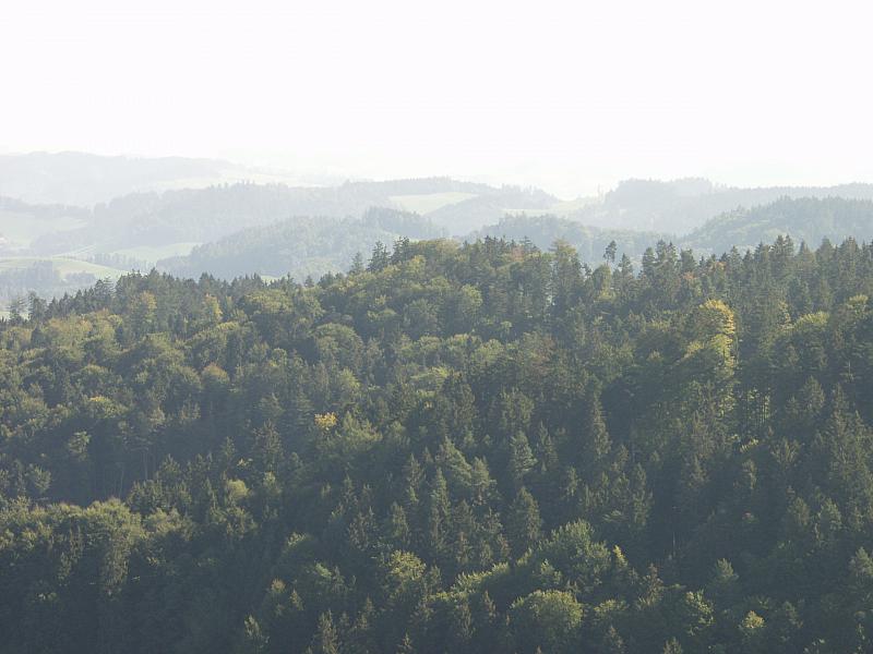P9194027.JPG