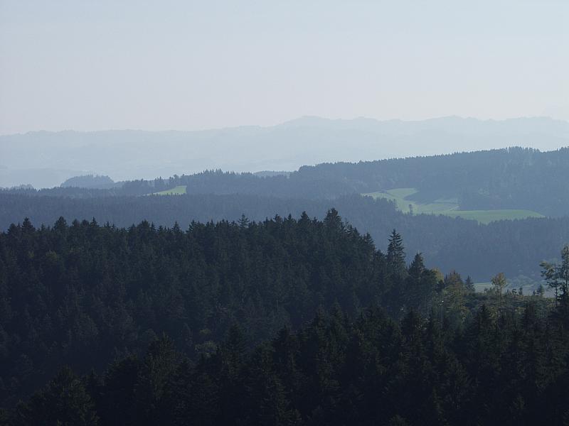 P9194029.JPG