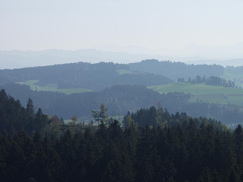 P9194030.JPG