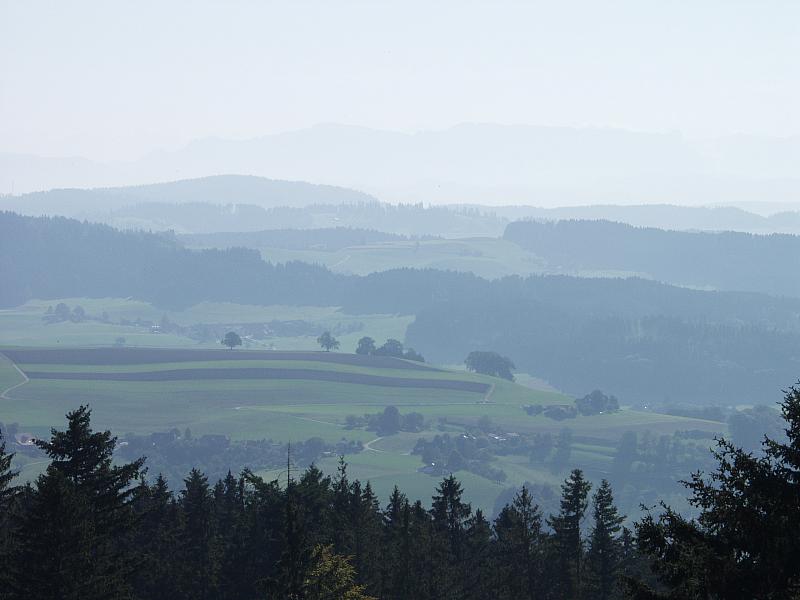 P9194032.JPG