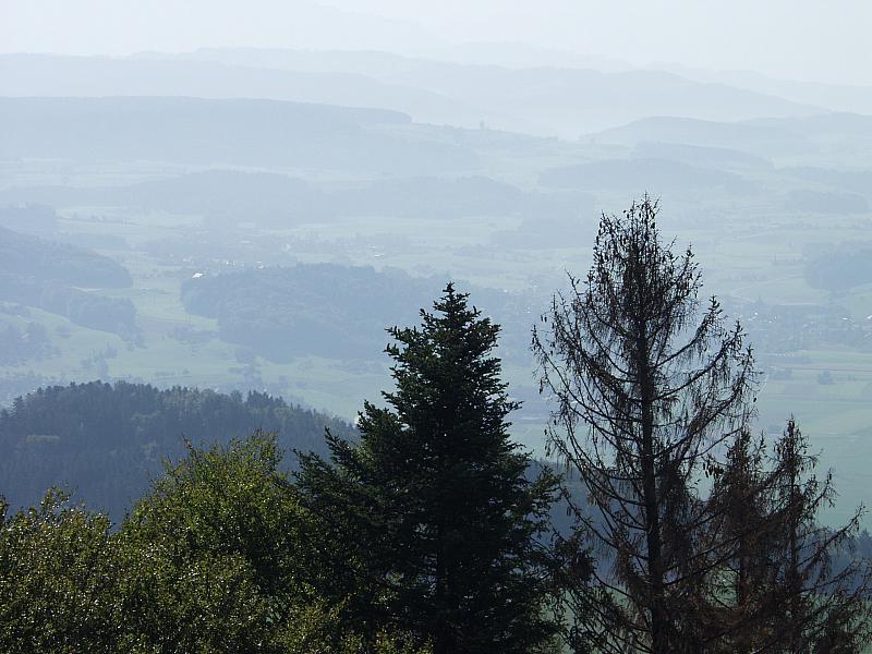 P9194075.JPG