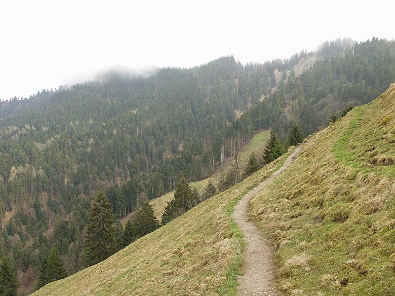 P4213241.JPG