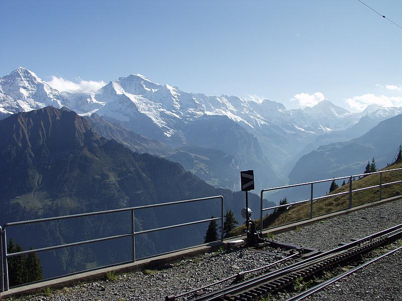 P9304165.JPG