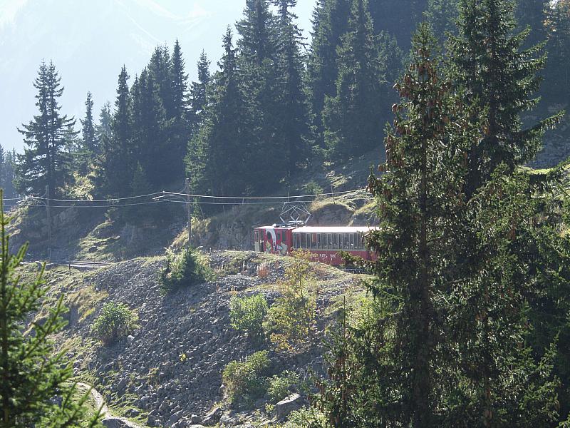 P9304175.JPG