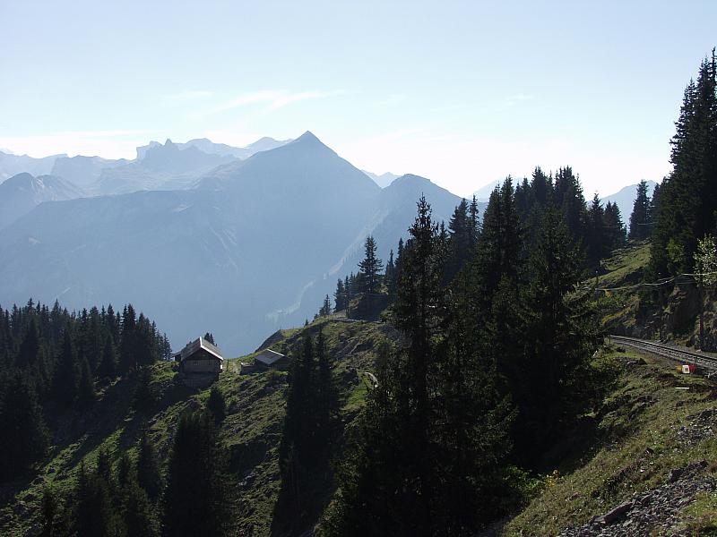 P9304176.JPG