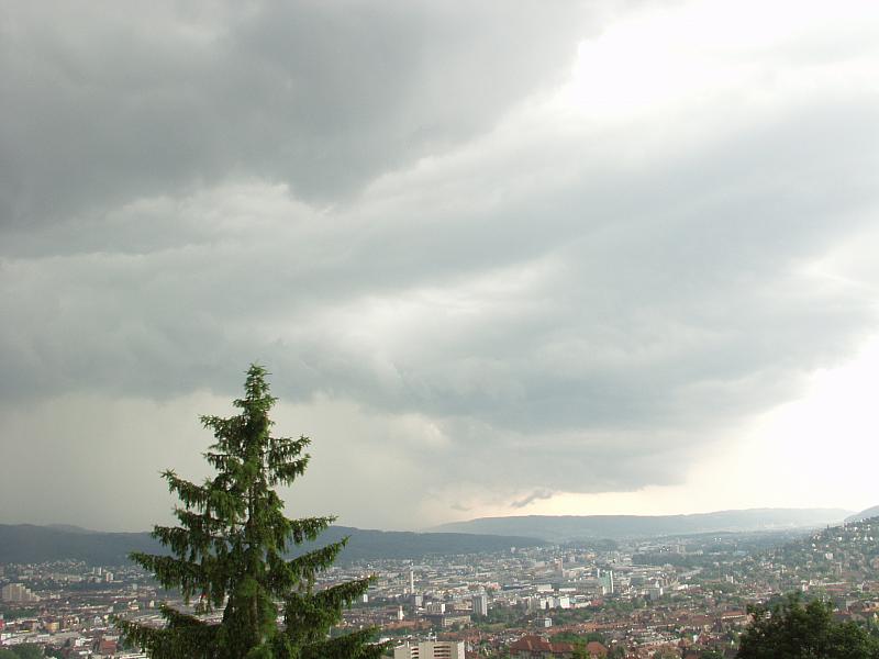 P6138418.JPG