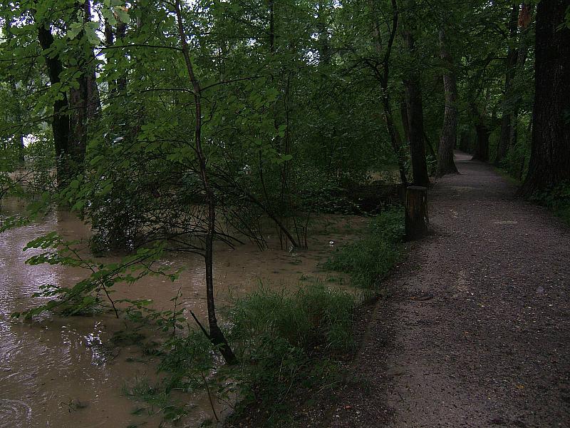 DSCF2214.jpg