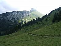 DSCF2076