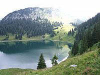 DSCF2078