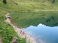 DSCF2079