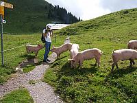 DSCF2086