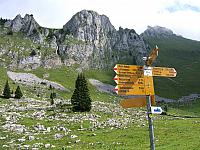 DSCF2087