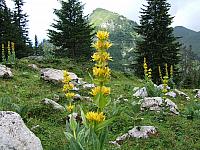DSCF2090