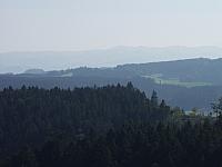 P9194029.JPG