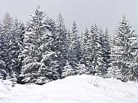 P2286703.JPG