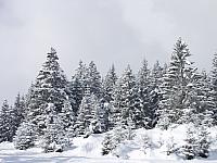 P2286704.JPG