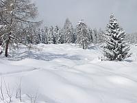 P2286717.JPG