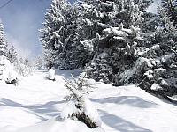 P2286721.JPG