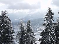 P2286731.JPG