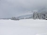P2286749.JPG