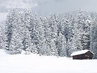 P2286750.JPG