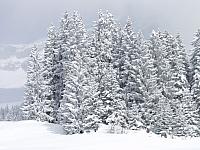P2286758.JPG