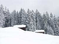 P2286759.JPG