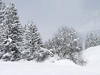P2286765.JPG