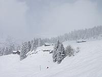 P2286775.JPG