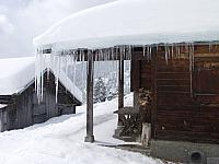 P2286779.JPG