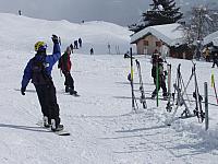 P2286786.JPG