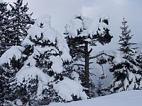 P2286793.JPG