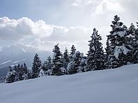 P2286798.JPG