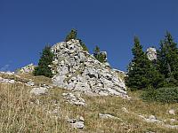 P9304099.JPG