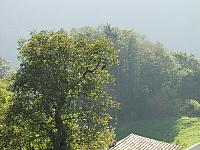 P9304186.JPG
