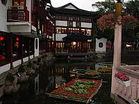 DSC02883.JPG