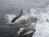 IMG_2433.JPG