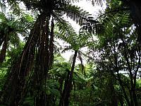 IMG_2463.JPG