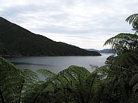 IMG_2467.JPG