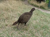 IMG_2474.JPG