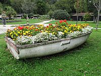 IMG_2497.JPG