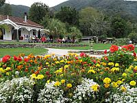 IMG_2499.JPG