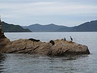 IMG_2512.JPG