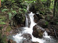 IMG_2924.JPG