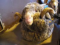 IMG_3124.JPG