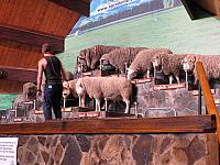 IMG_3128.JPG