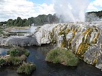 Geisyr in Rotorua